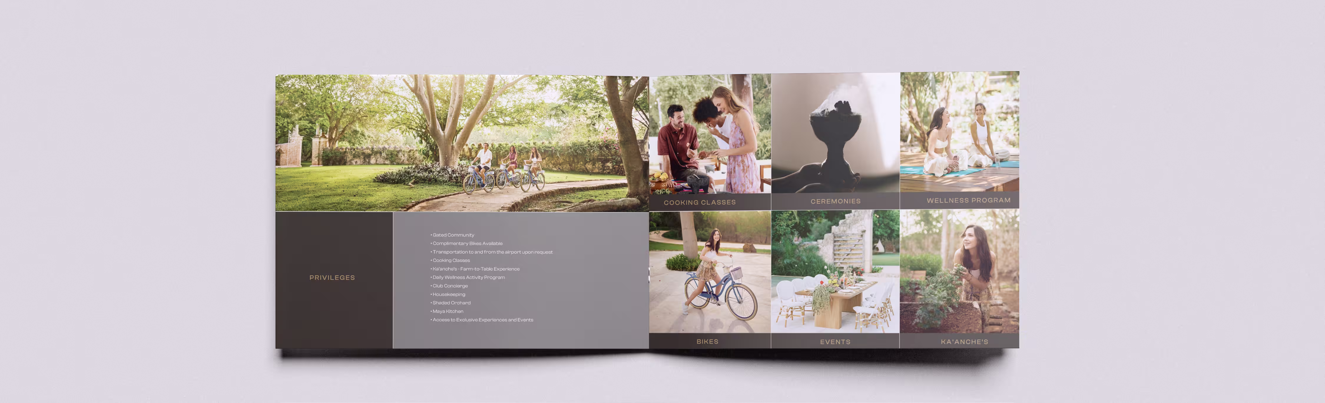 Chablé Collateral Suite